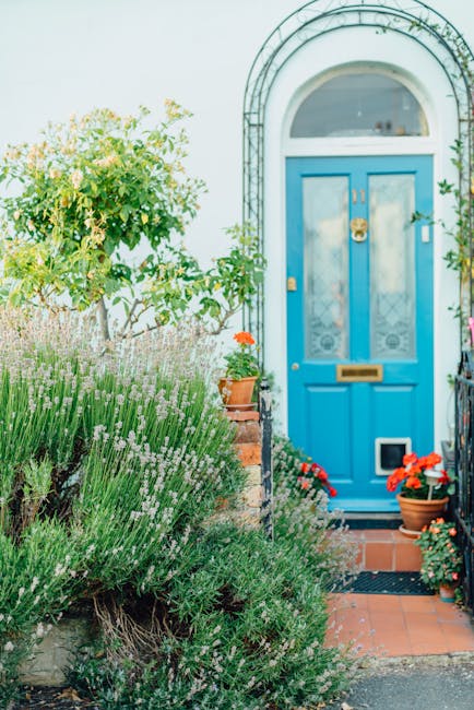 The front garden of a white townhouse features a neatly maintained flower bed bordered by white walls and a small brick pathway. The flower bed contains an assortment of low, rounded evergreen shrubs 